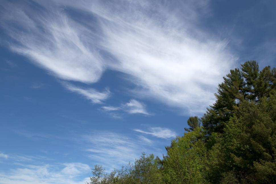 Free Image of Clouds and Trees  