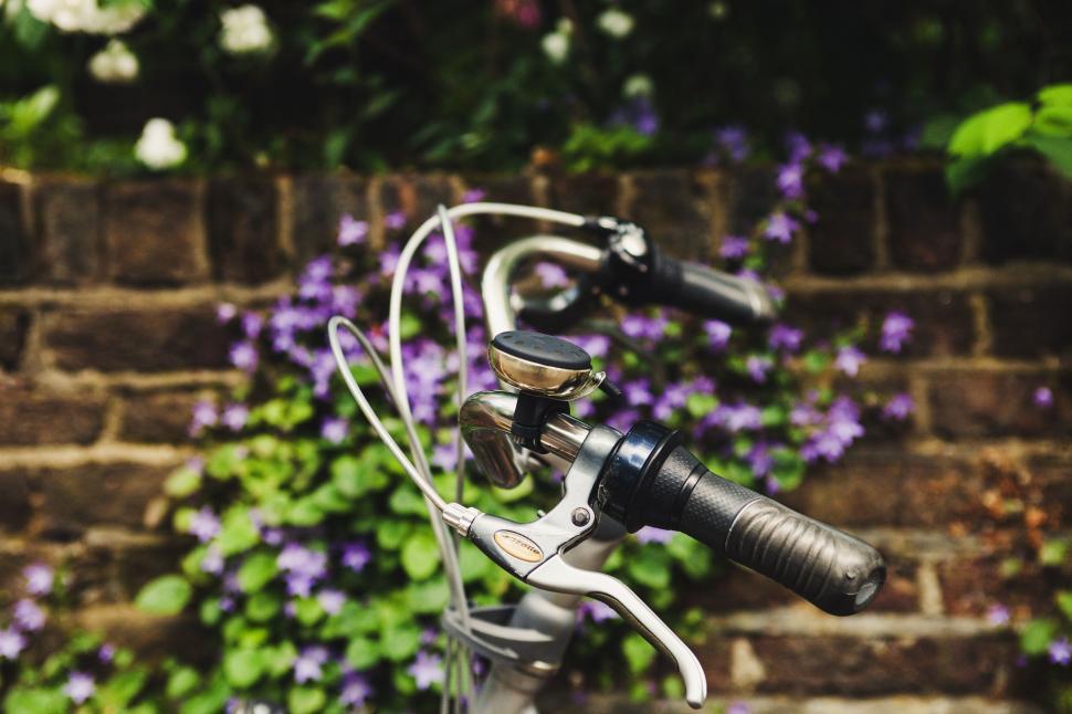 Free Image of Bicycle Handle with levers  
