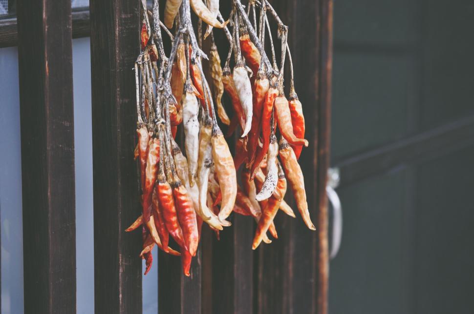 Free Image of Chili Peppers Hanging 