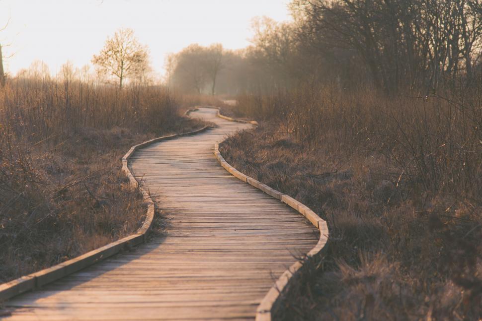 Free Image of Wooden planks path  