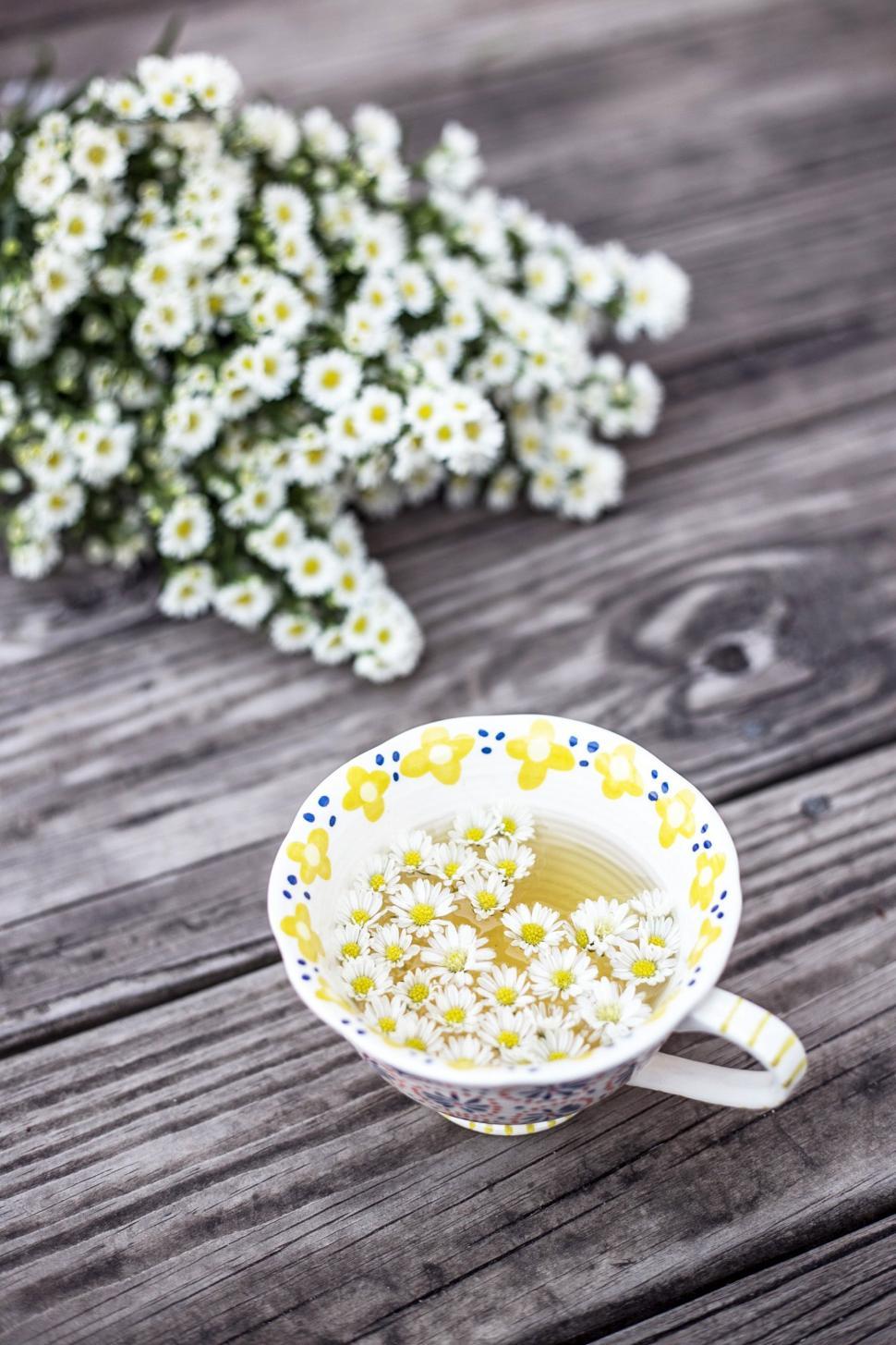 Free Image of Tea and chamomile flowers 