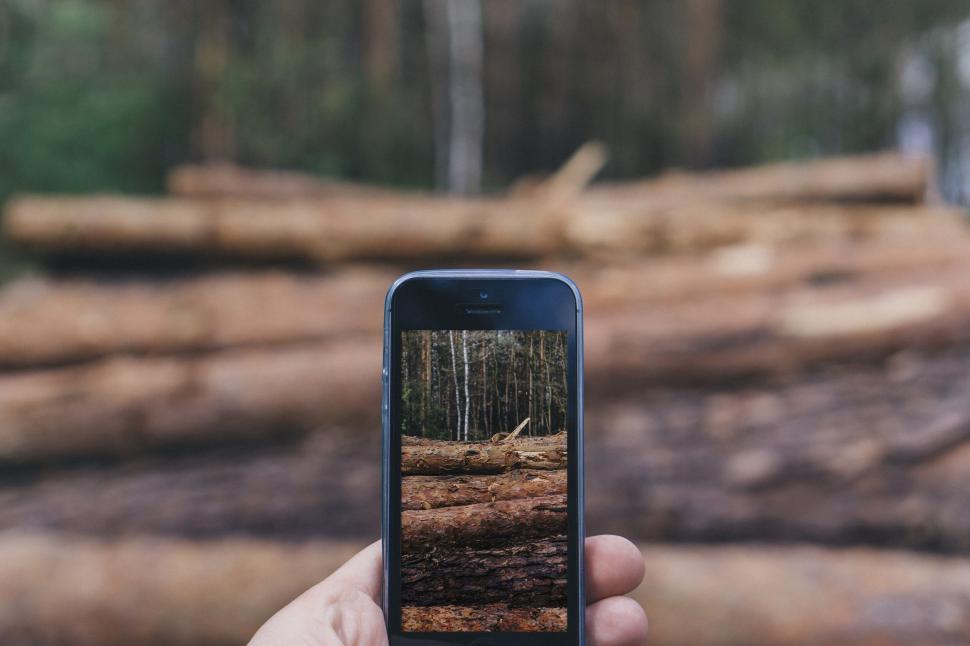 Free Image of Forest Wood Logs on Phone Screen 