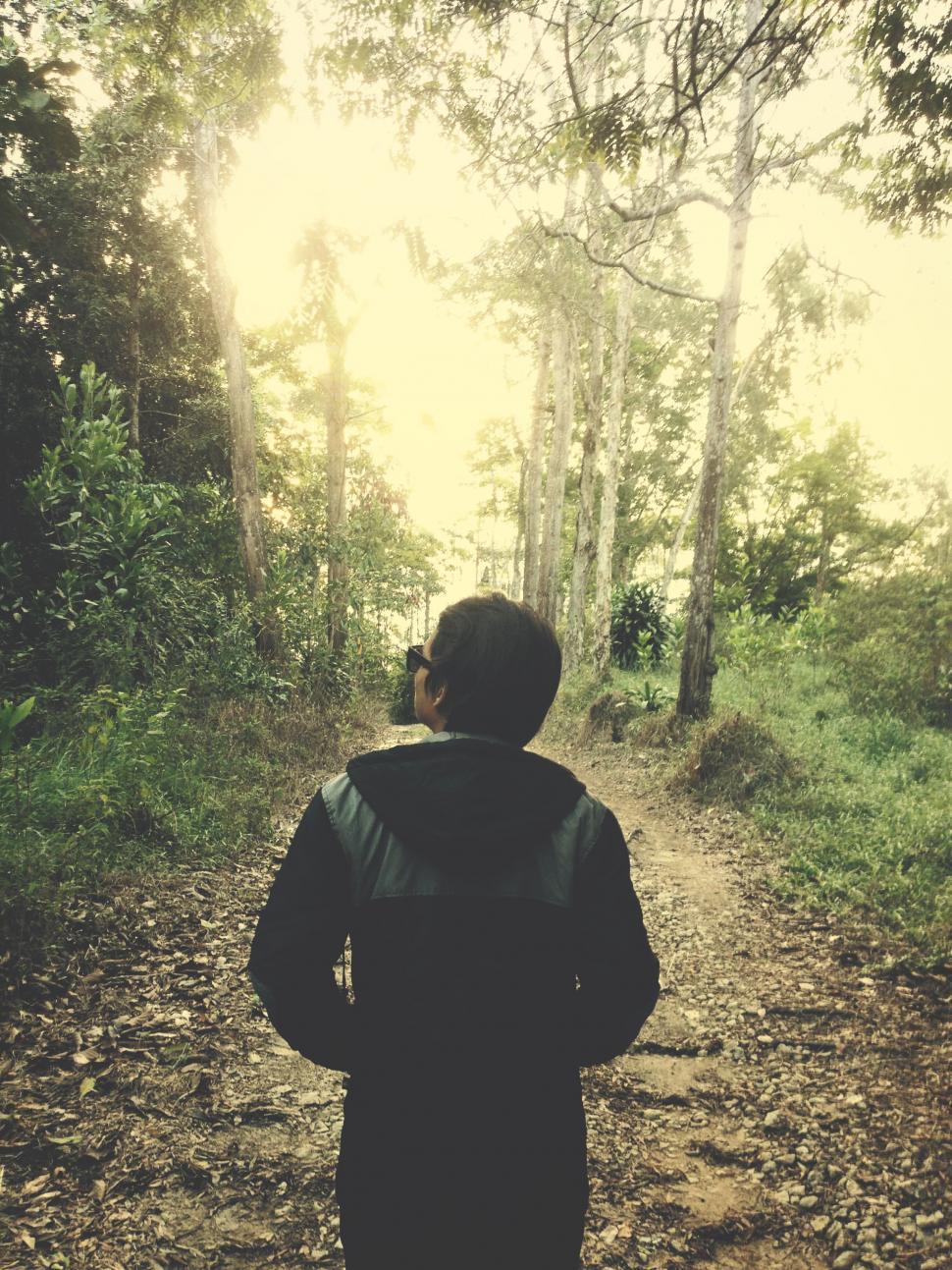 Free Image of Young Man in Forest  