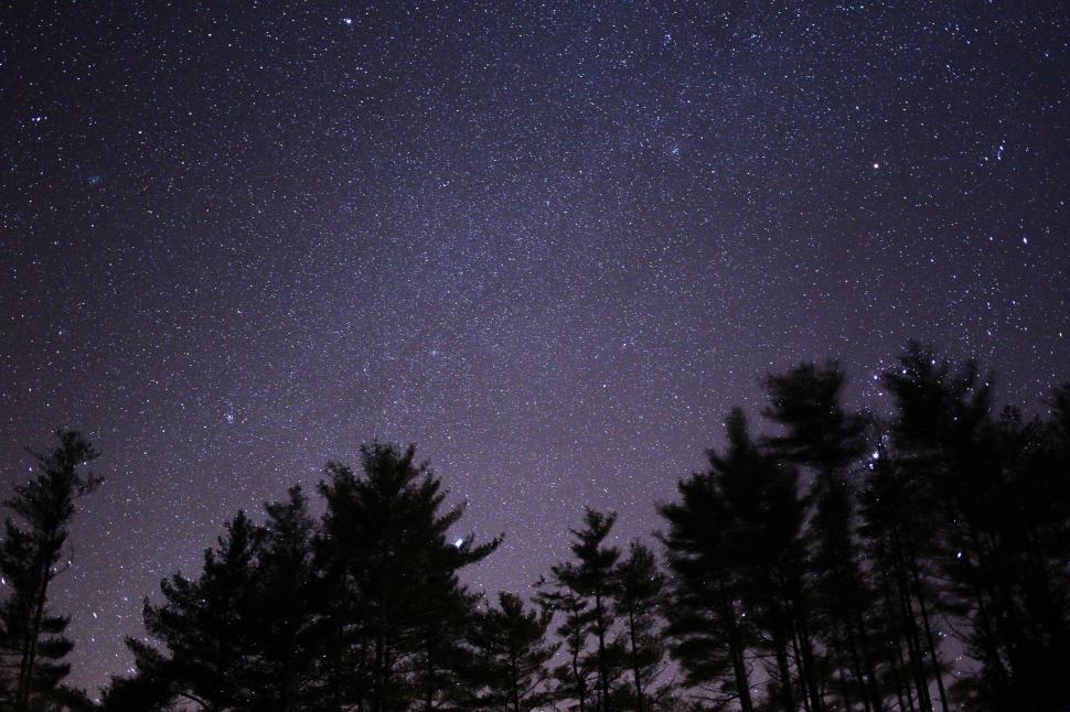 Free Image of Sky full of stars with trees silhouette 