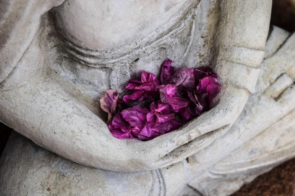 Free Image of Flower Petals in statue hands 