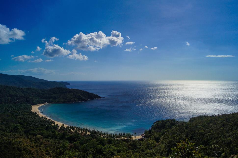Free Image of High Angle View of Beach With Trees  