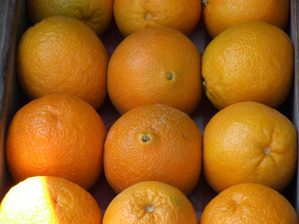 Free Image of Oranges 