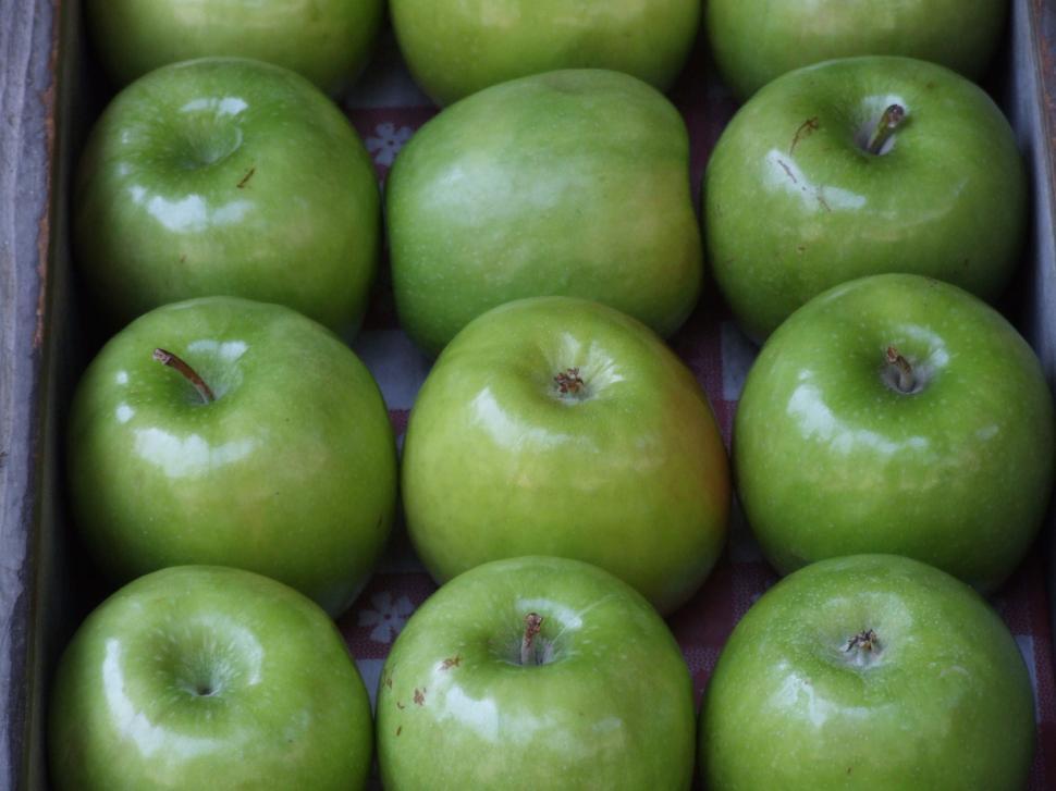 Free Image of Apples 