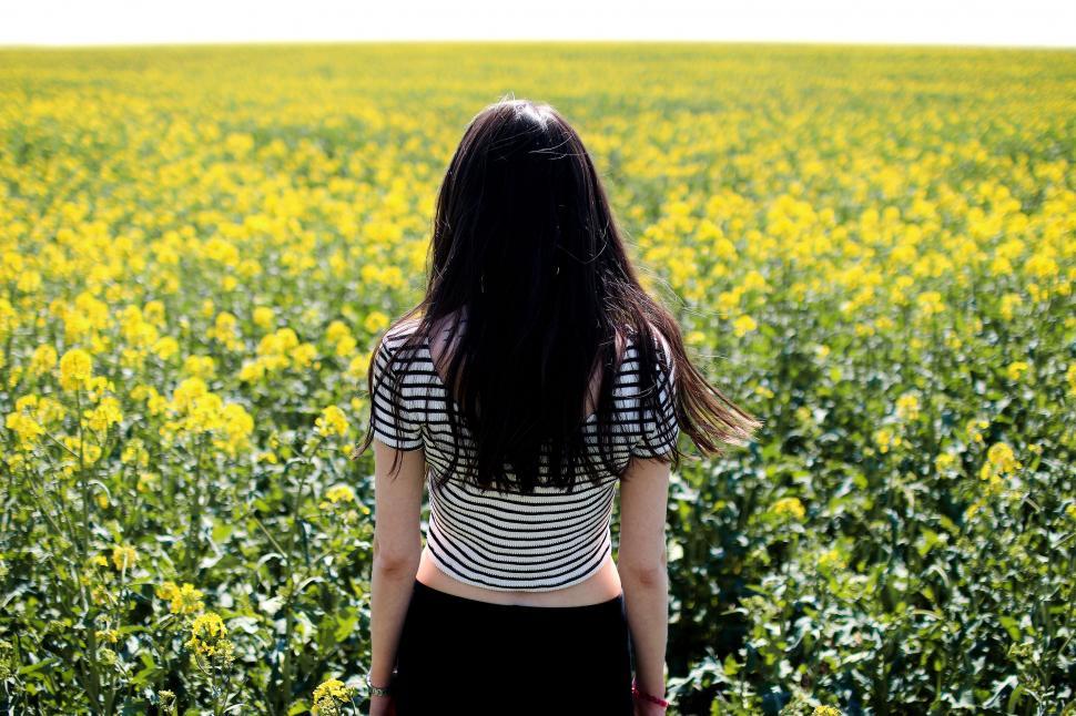 Free Image of Girl with black hair in yellow flower Field  