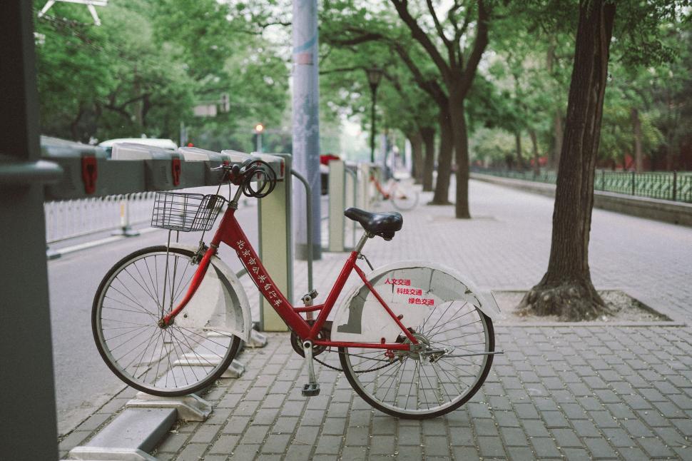 Free Image of Bicycle in rack 