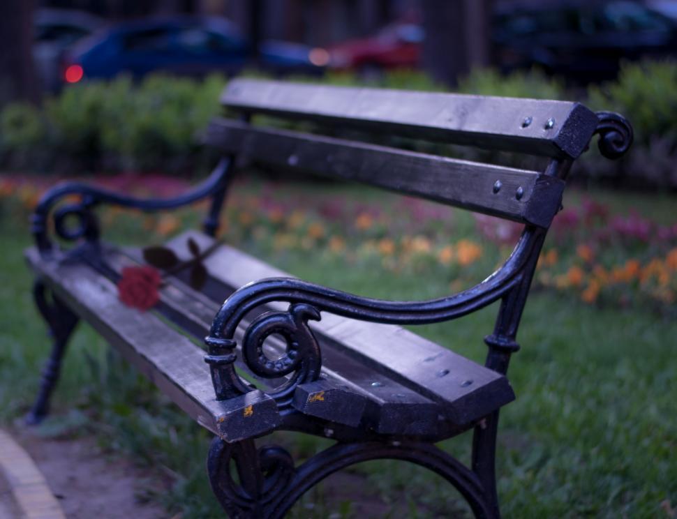 Free Image of Park Bench  