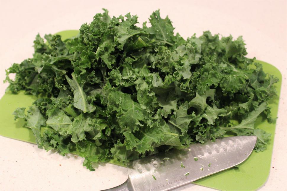 Free Image of Kale Vegetable  