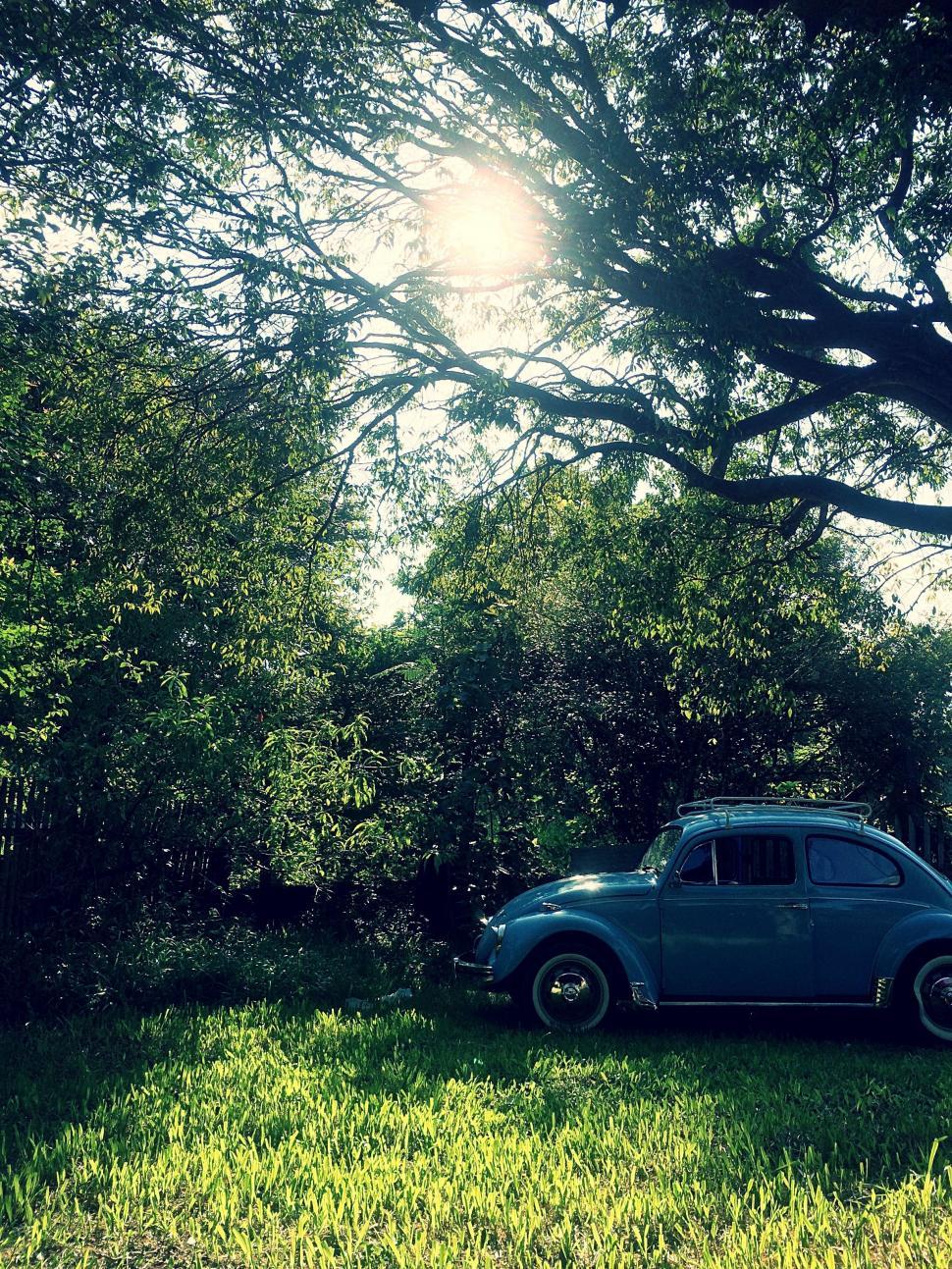 Free Image of Vintage Car on Grass With Sunlight  