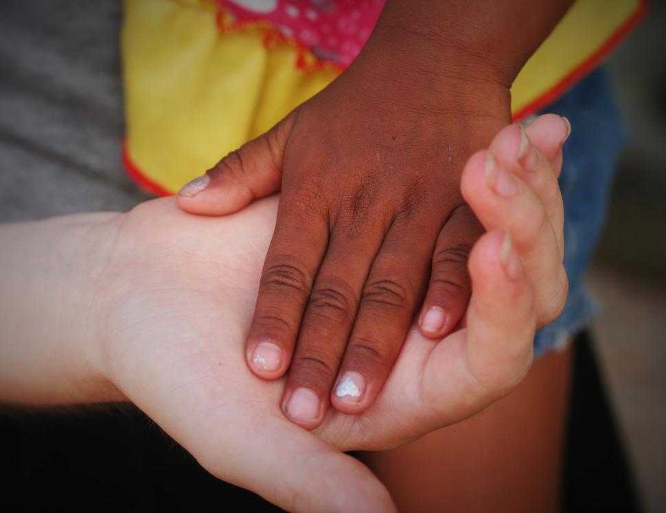 Free Image of Caucasian and African Hand 