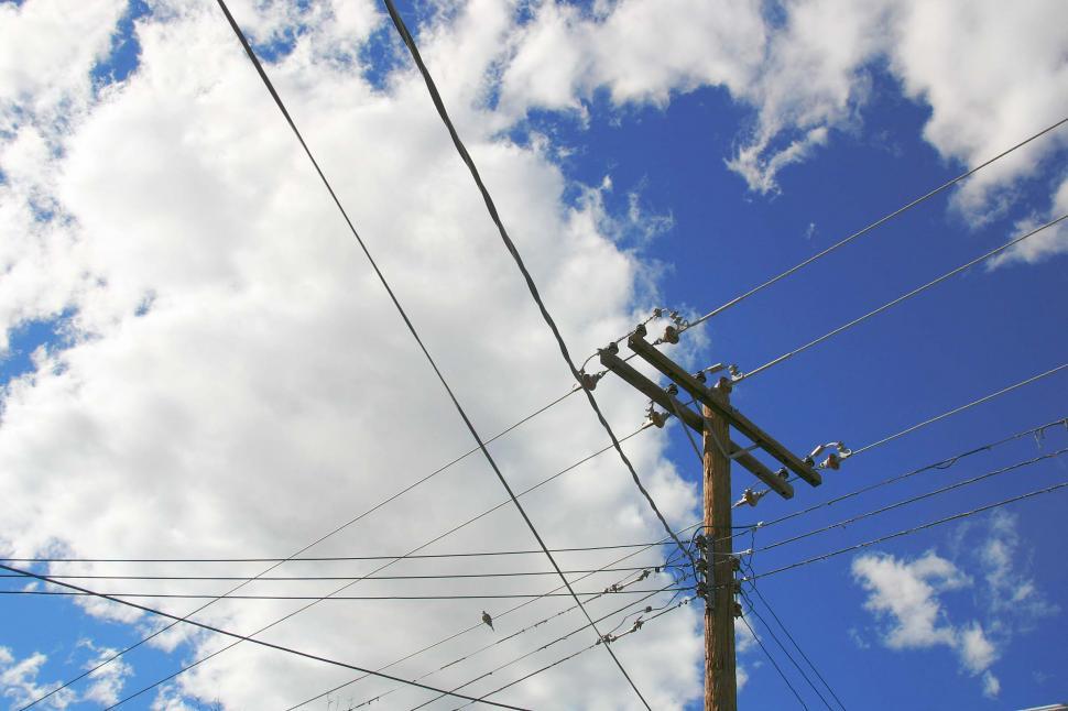 Free Image of Powerlines against the blue sky 