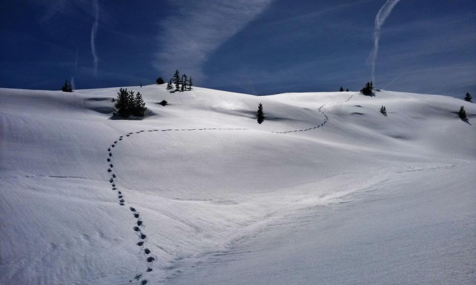 Free Image of Footprints in the Snow  