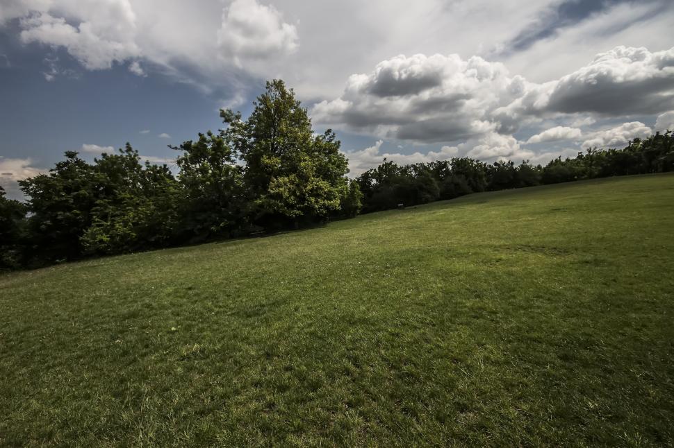 Free Image of Grass Field  