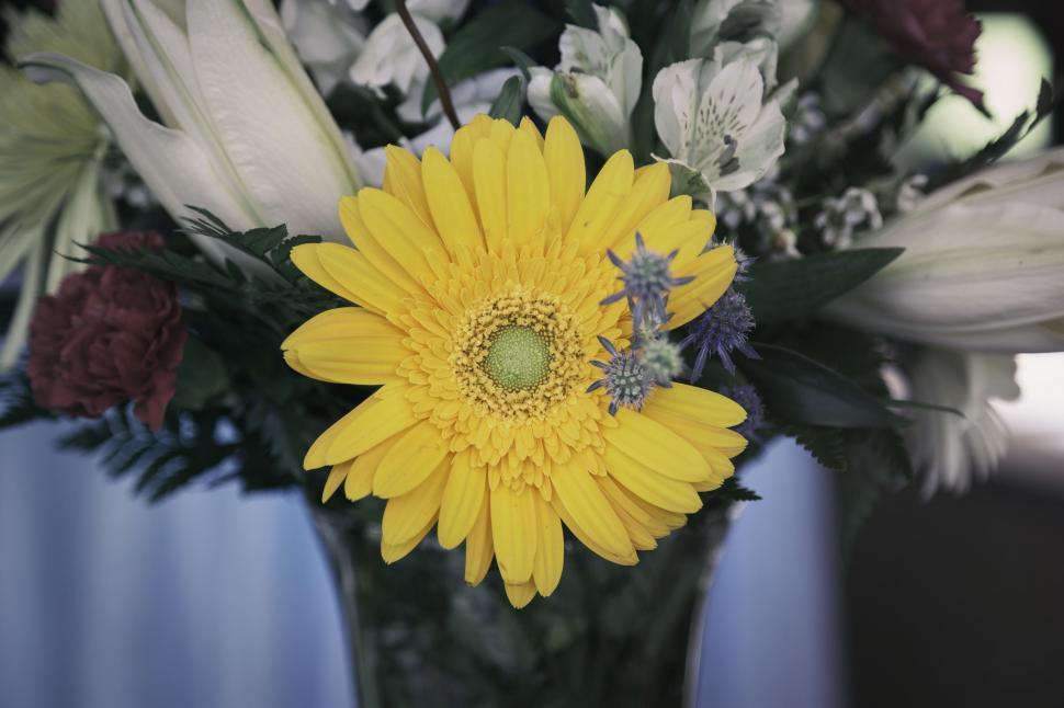 Free Image of Yellow Flower and Flowers in Vase  