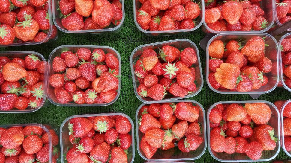 Free Image of Strawberries in boxes 