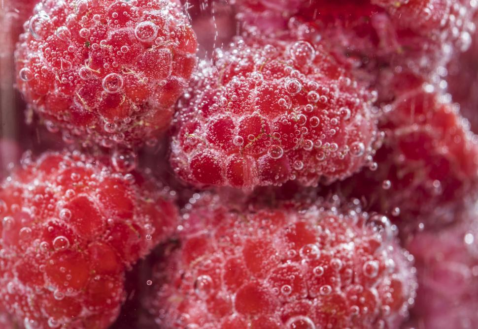 Free Image of Close up of bubbles on raspberries in a chilled beverage 