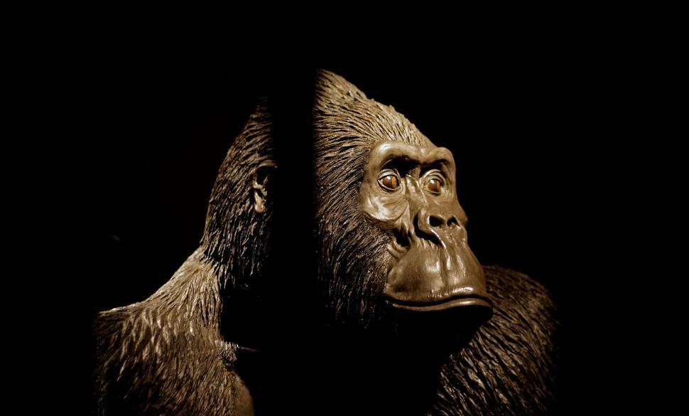 Free Image of Caged Gorilla 