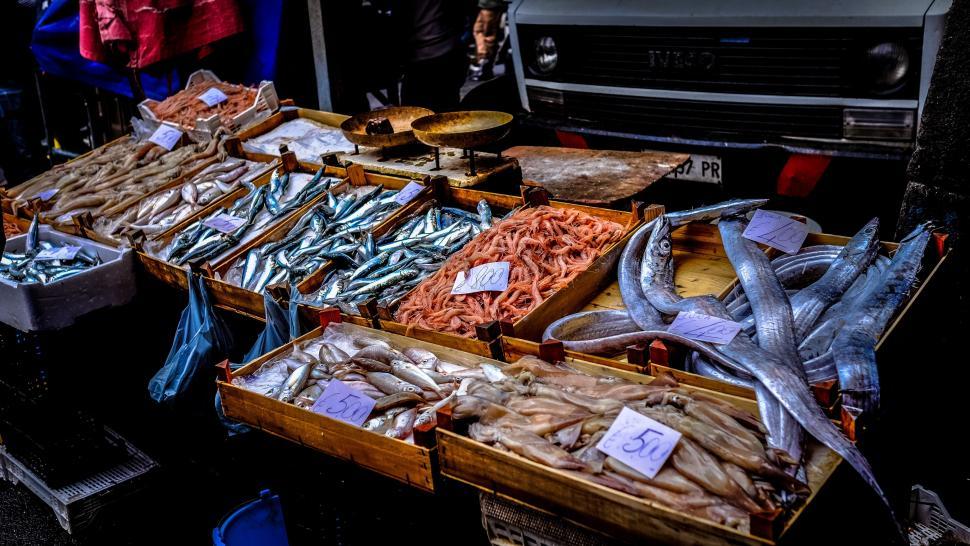 Free Image of Fish Stall in Market  
