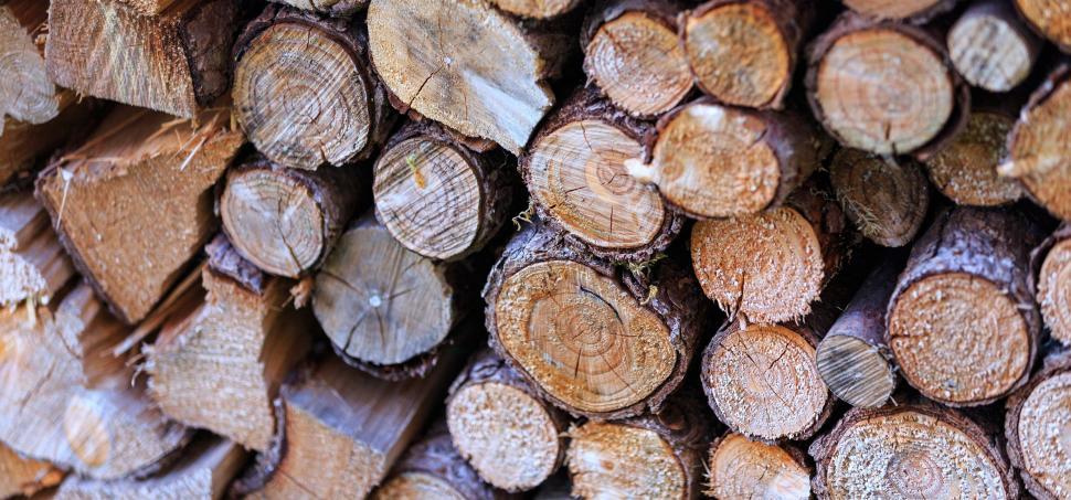 Free Image of Stacked Wood Logs  