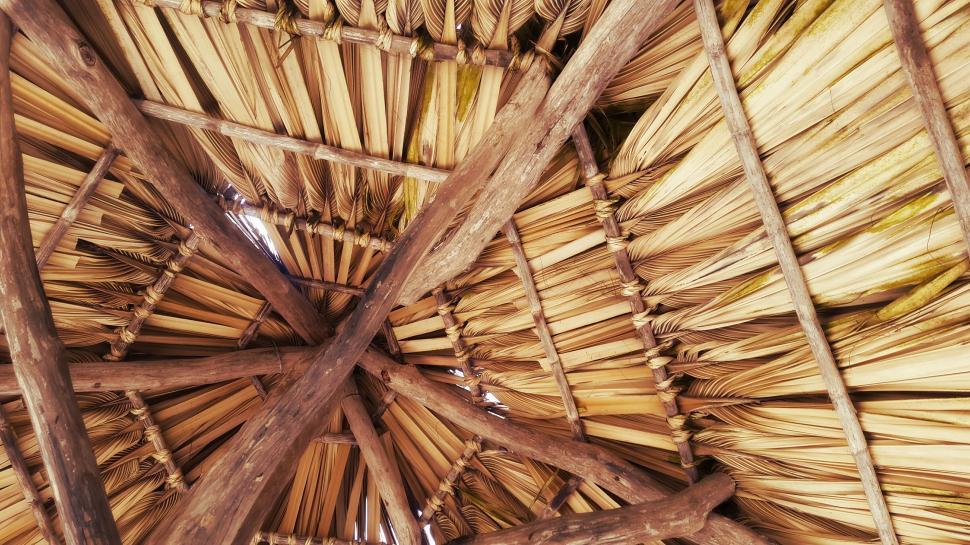 Free Image of Thatch Roof 