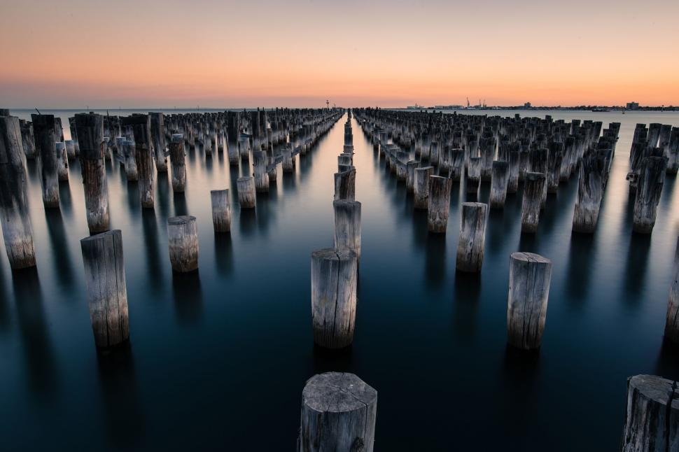 Free Image of Wooden poles in sea 