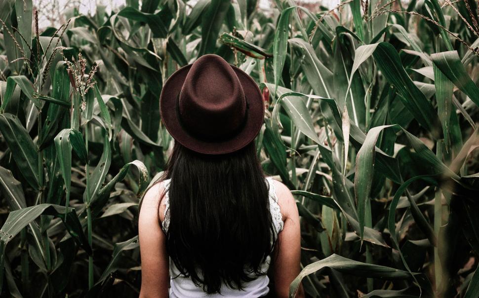 Free Image of Woman in brown hat  