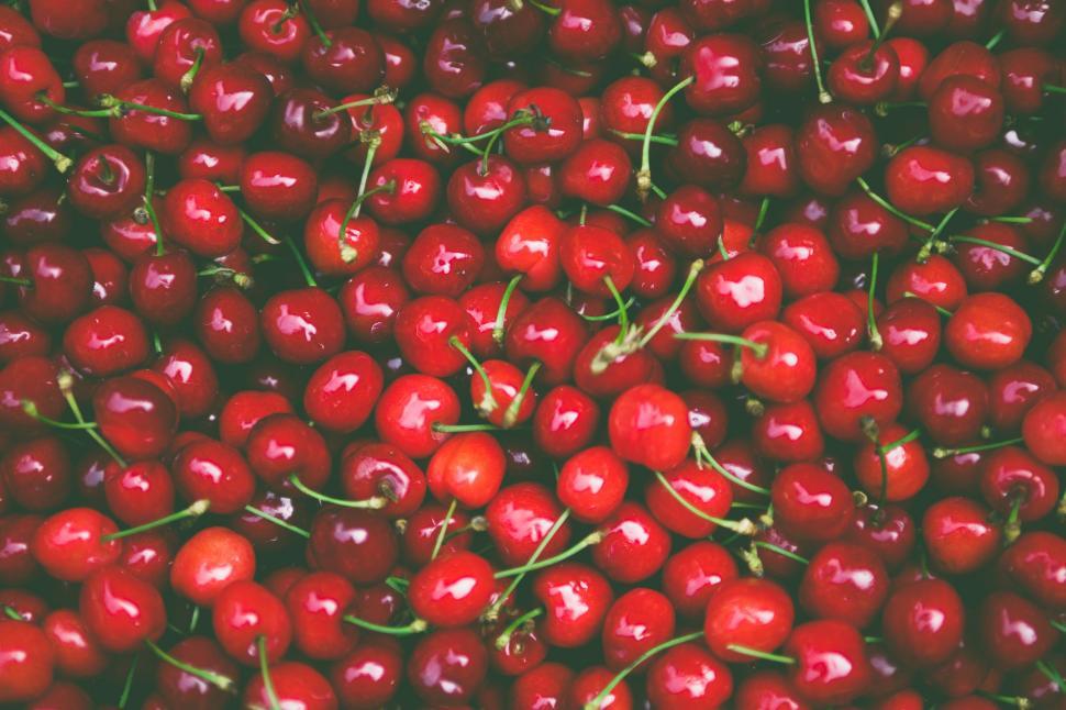 Free Image of Red Cherries  