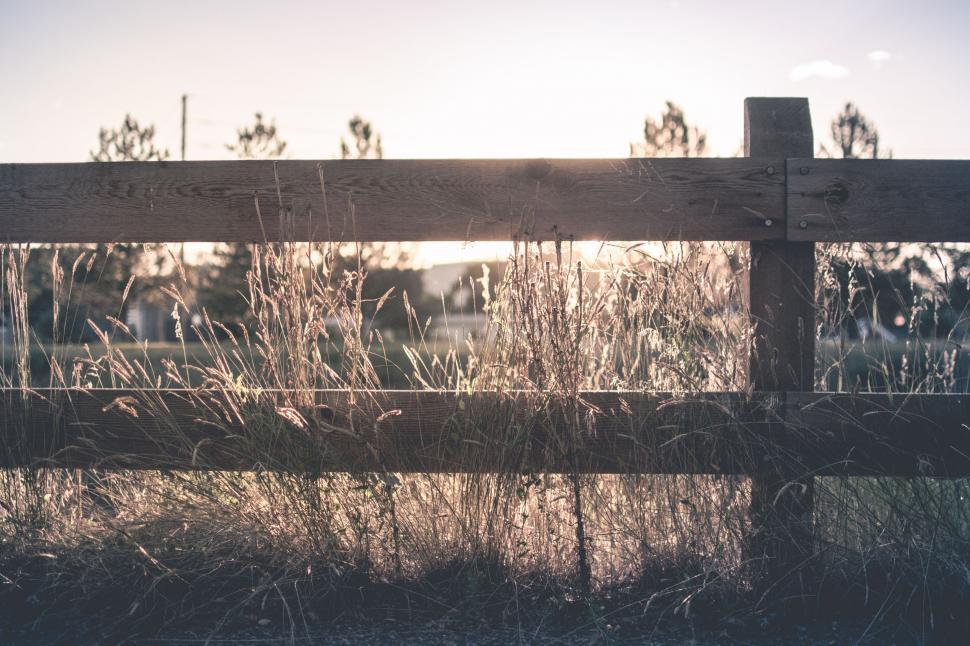 Free Image of Grass and Fence with sunlight  