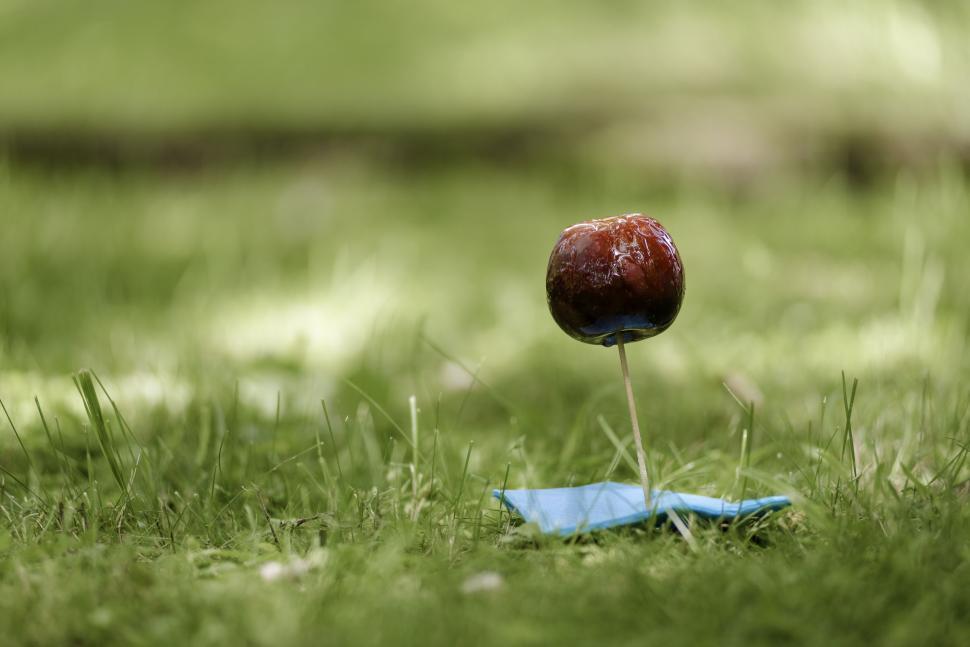 Free Image of Candy apple 
