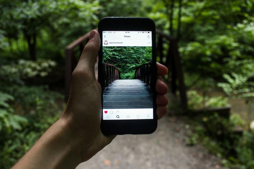 Free Image of Forest Bridge on Instagram Phone App 