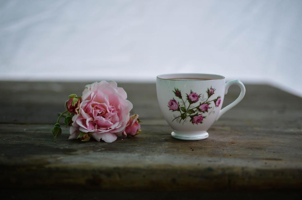 Free Image of Tea Cup and Flower  