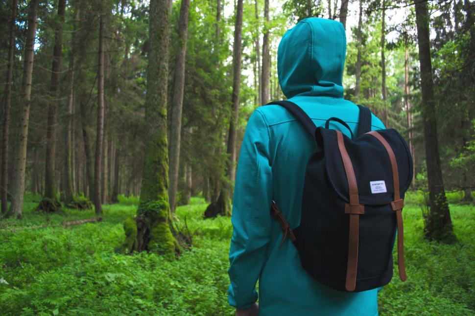 Free Image of Backpacker in Forest 