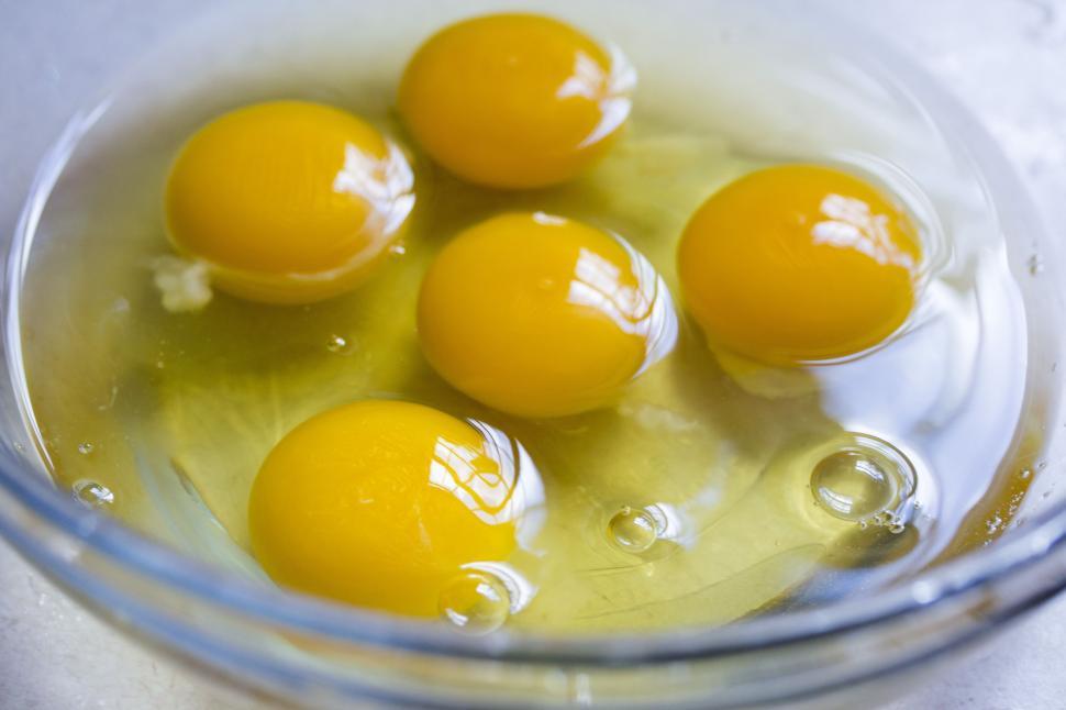 Free Image of Egg yolks 