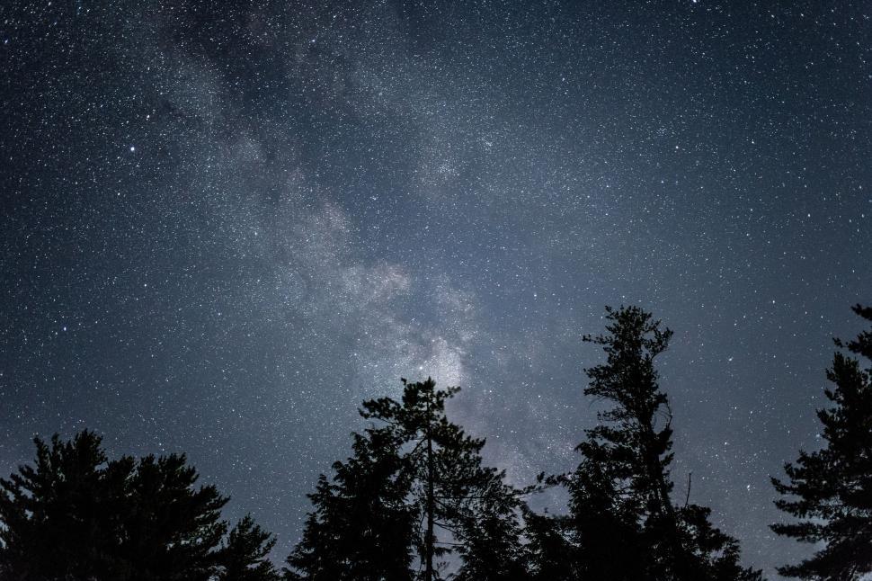 Free Image of Trees and Stars  