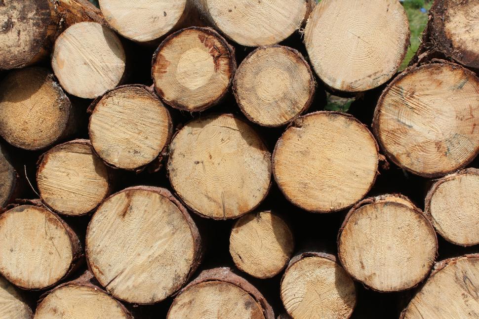 Free Image of Wooden logs 