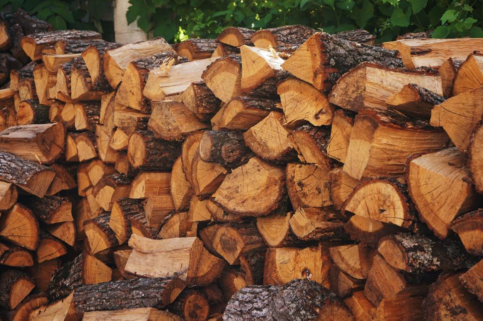 Free Image of Chopped wood 