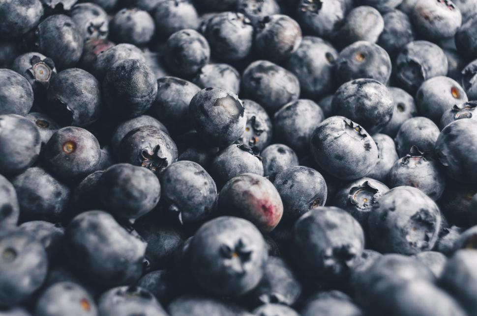 Free Image of Blueberries - Background  