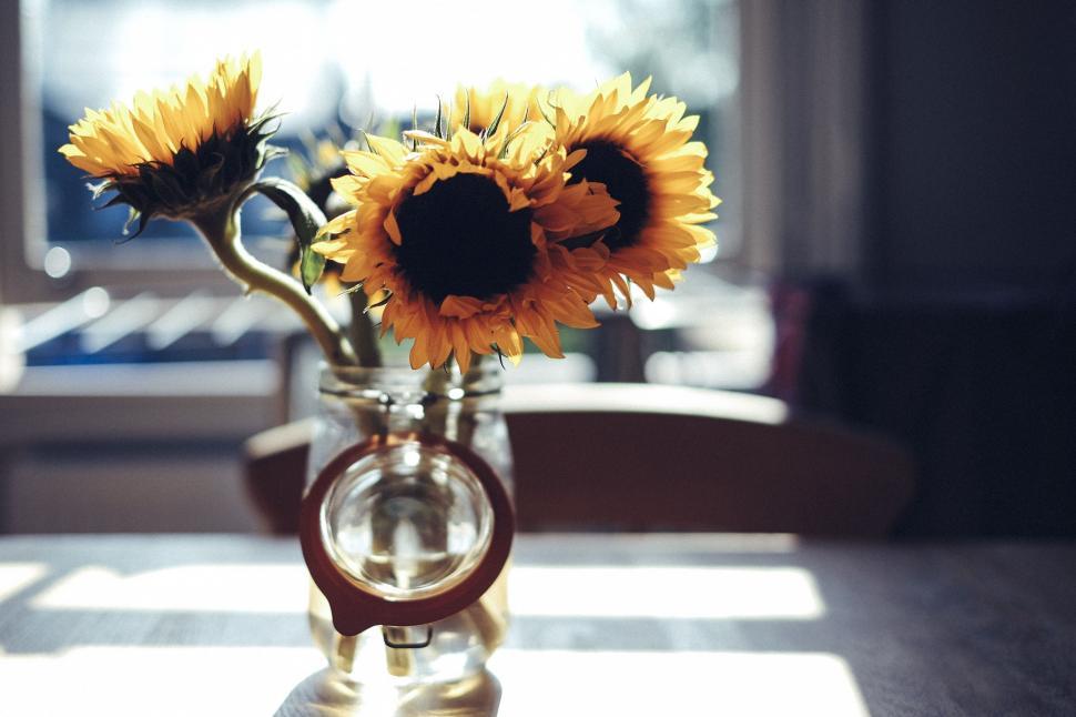 Free Image of Sunflowers in vase  