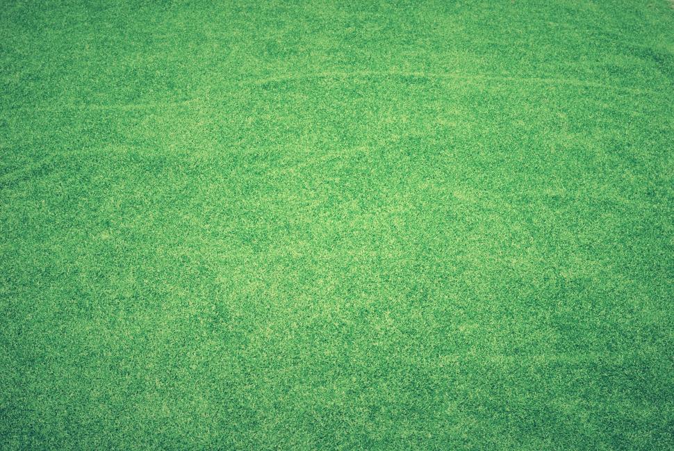 Free Image of Artificial grass - Background  