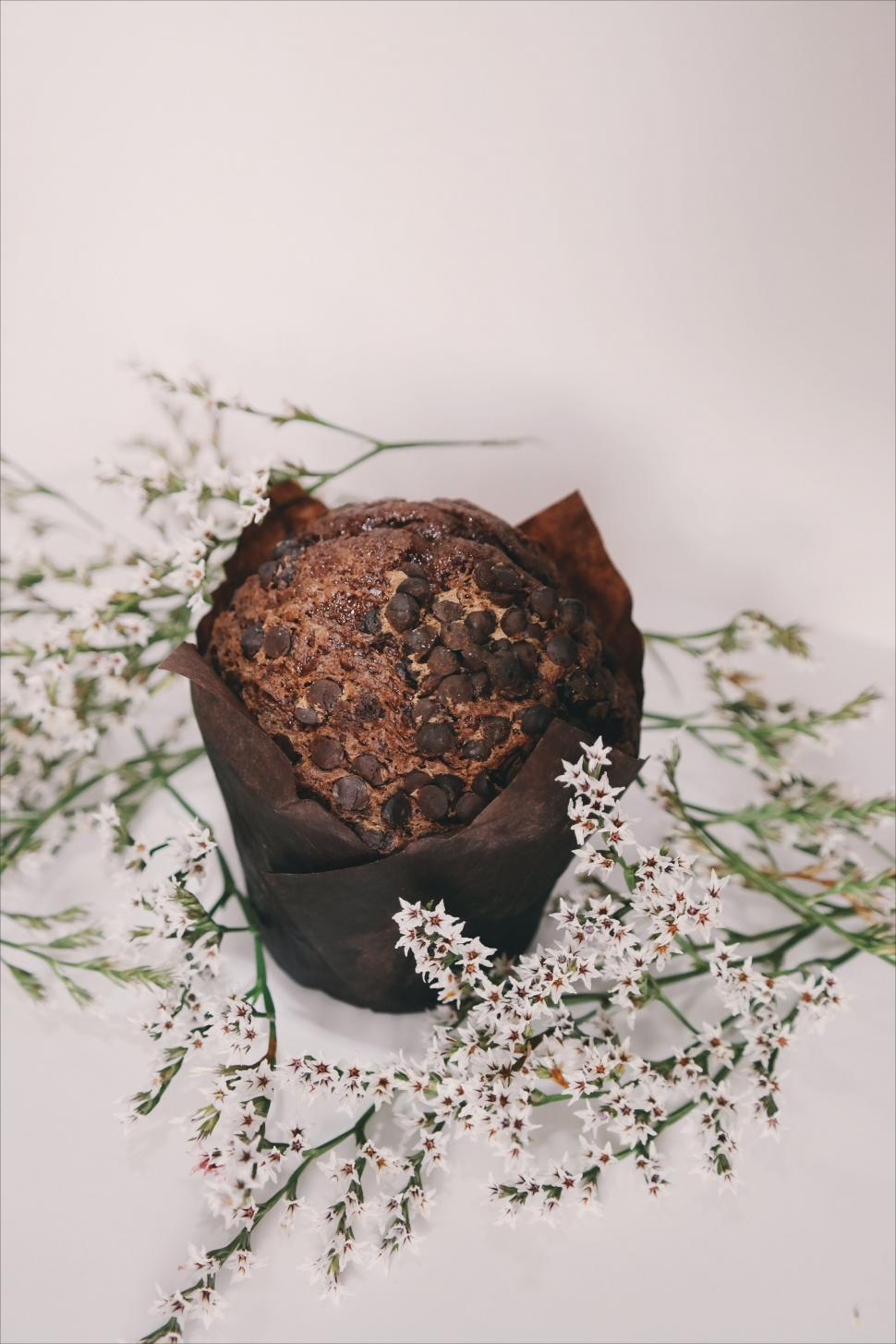 Free Image of Chocolate Muffin  
