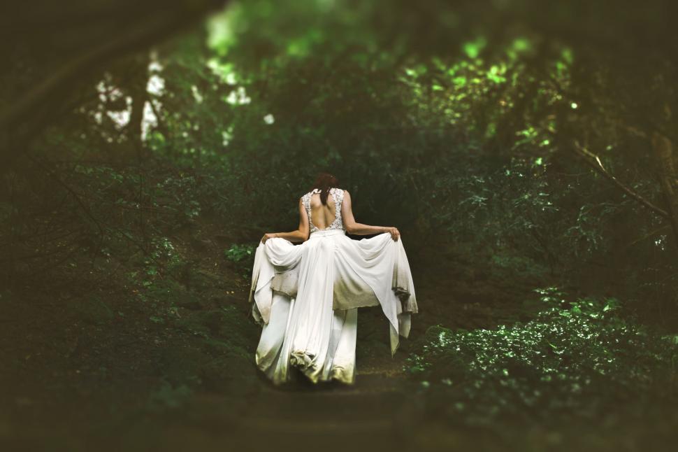 Free Image of Woman in wedding dress and Trees  