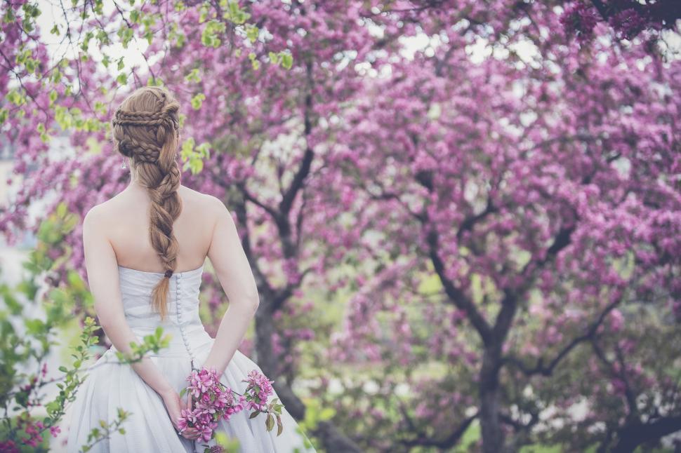 Free Image of Back Side View of Bride near the tree blossoms with pink flowers 