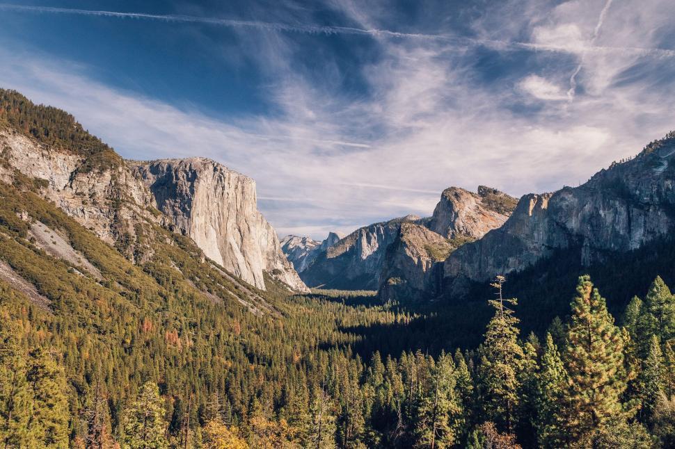Free Image of Rocky Mountains with trees  