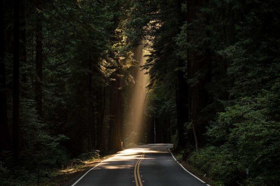 Free Image of Sun rays on road  