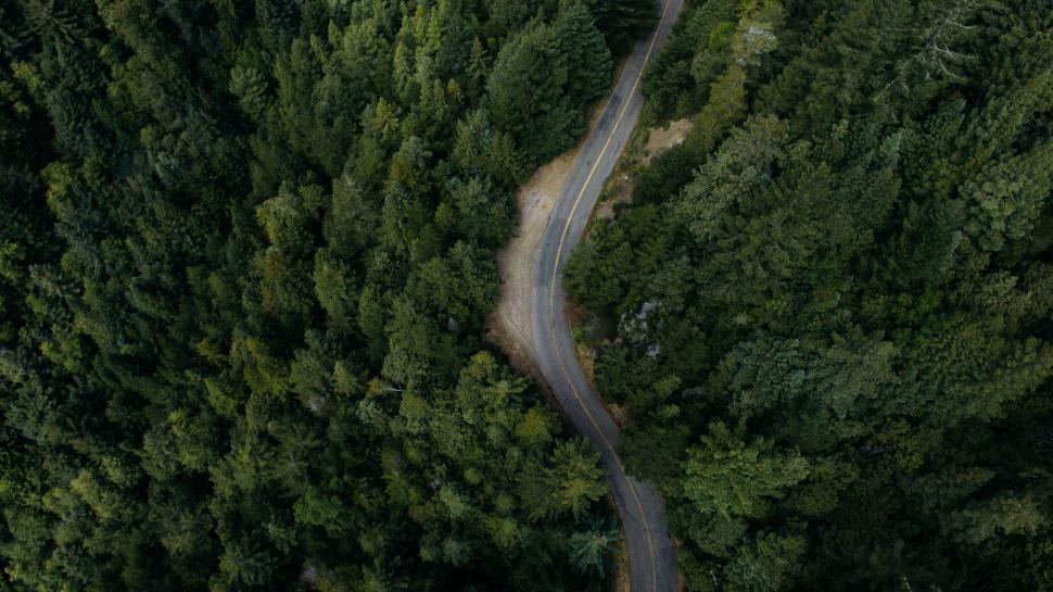 Free Image of Mountain Road from above  