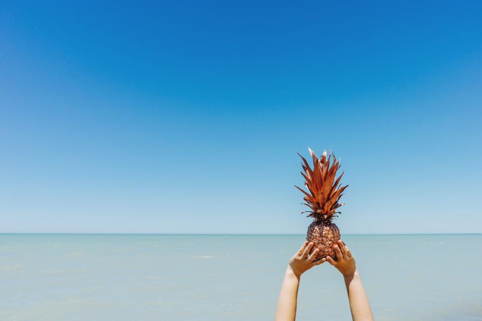 Free Image of Pineapple in hands 